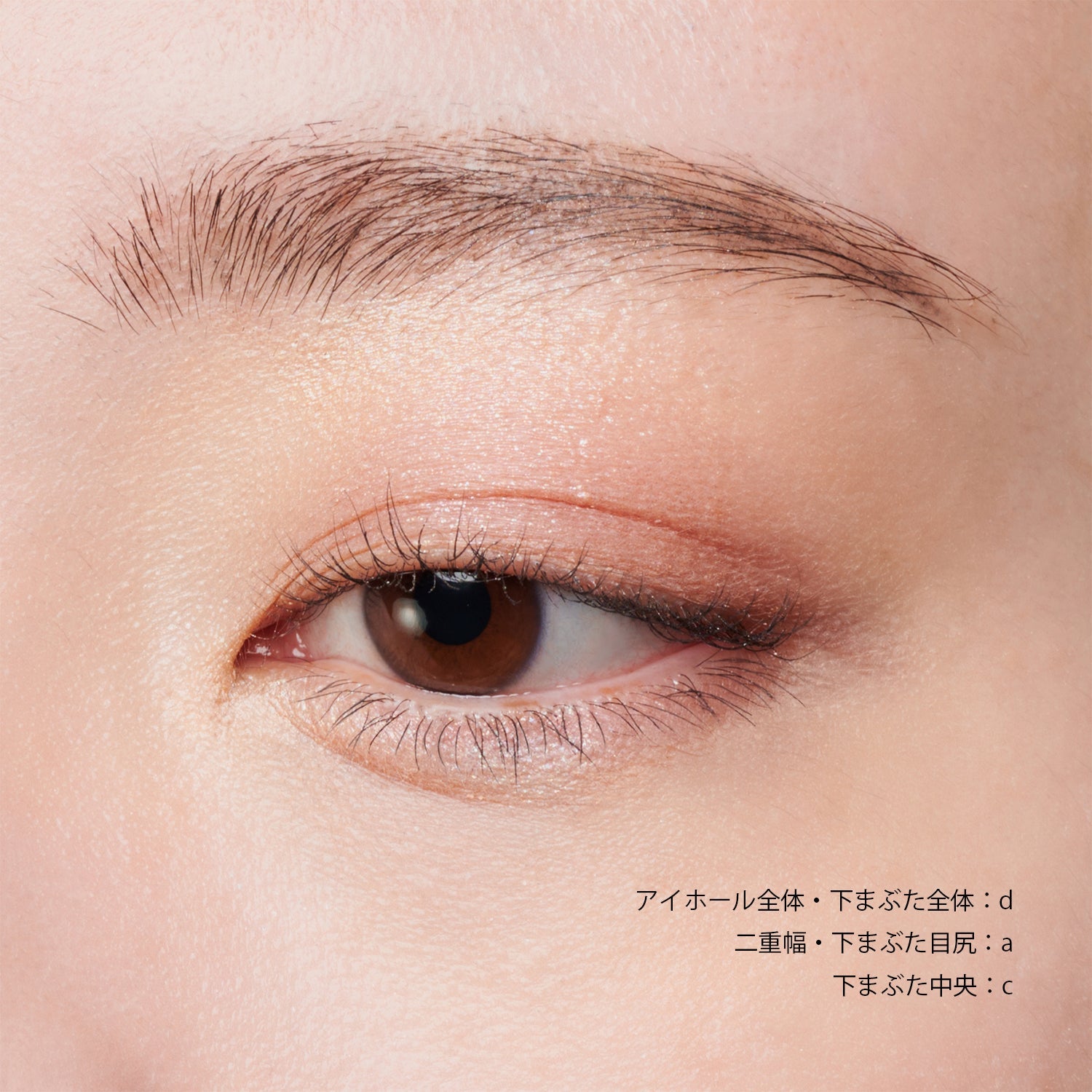 Snidel Beauty Eye Designer – Ichiban Mart