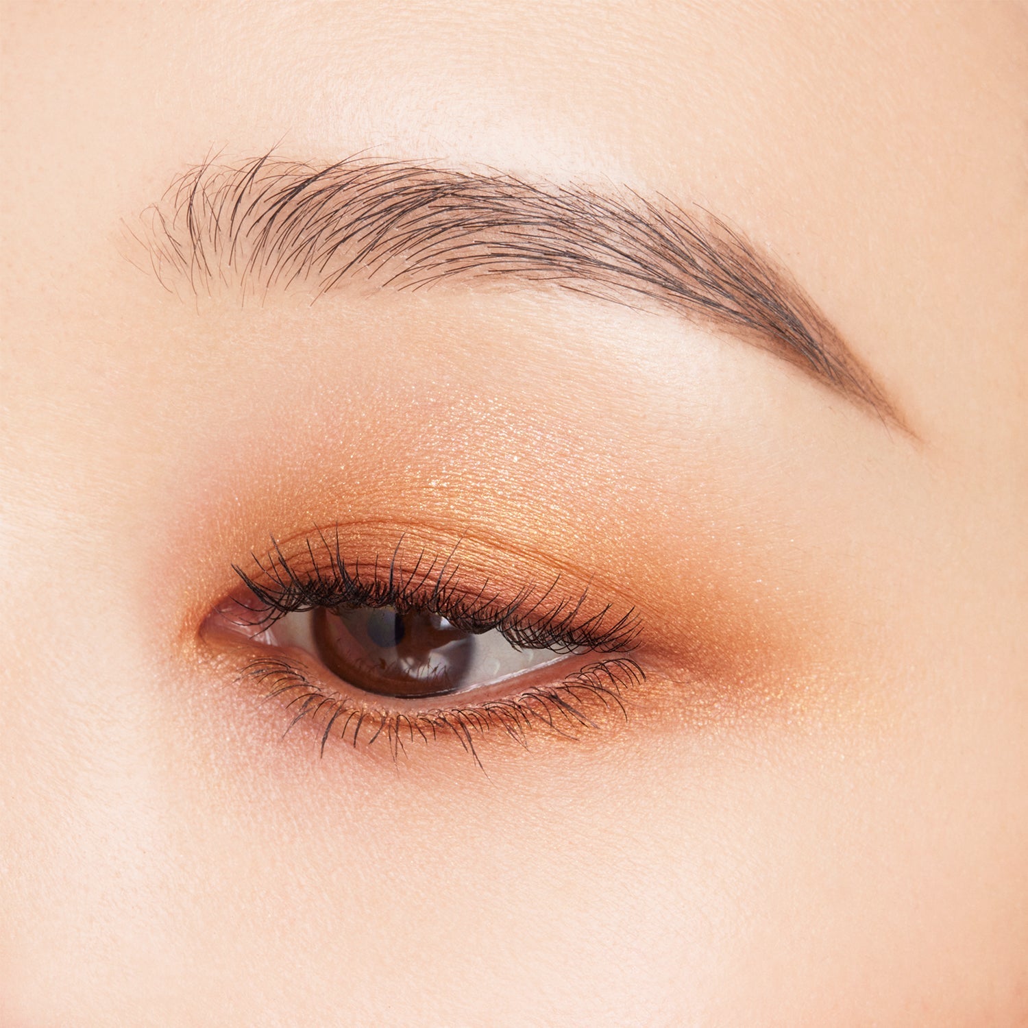 日本全国送料無料商品人気ランキング Signature Suqqu Color Mart Ichiban – Eyes フェイスパウダー